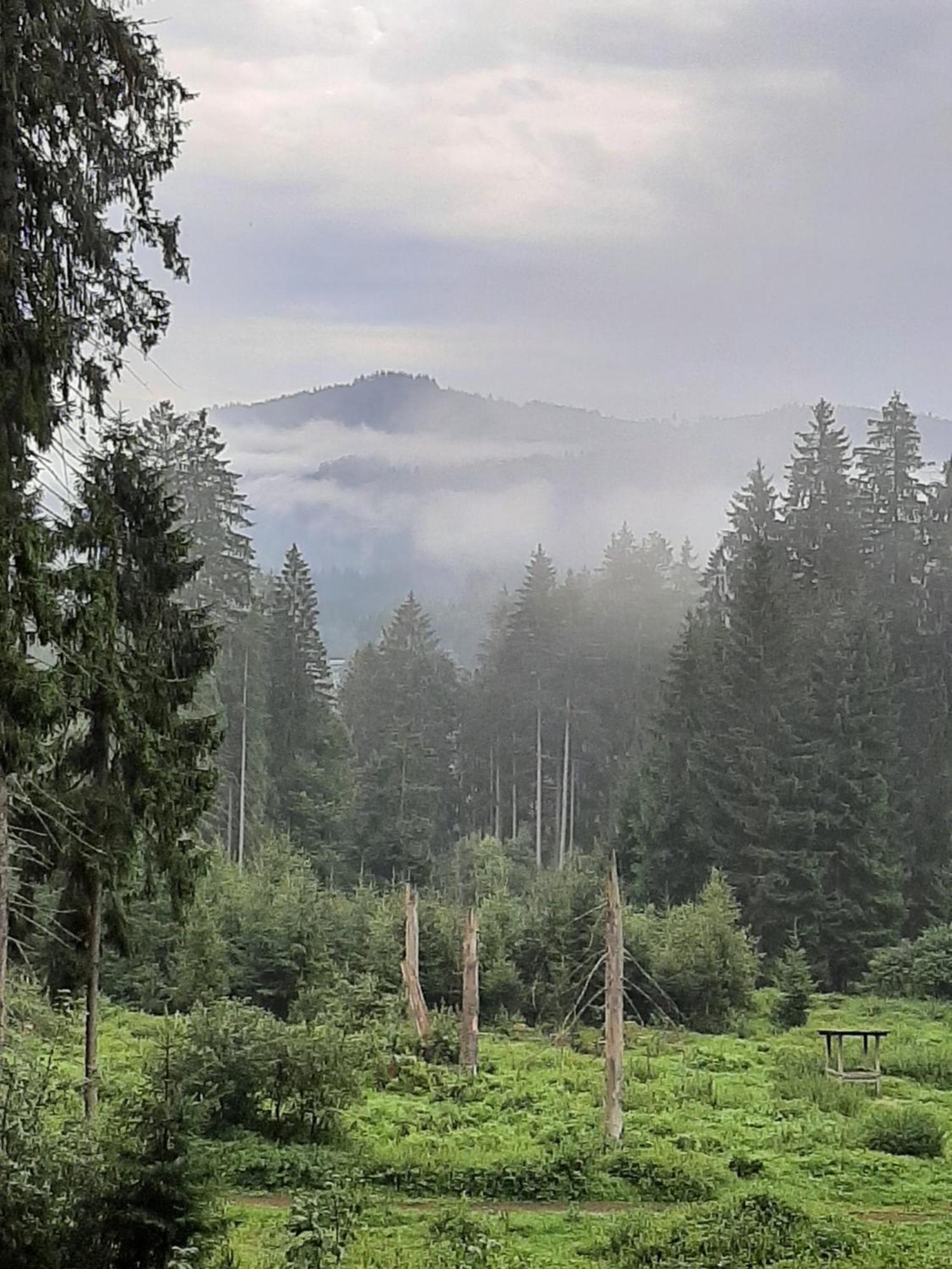 Fewo Fink Regen Buitenkant foto