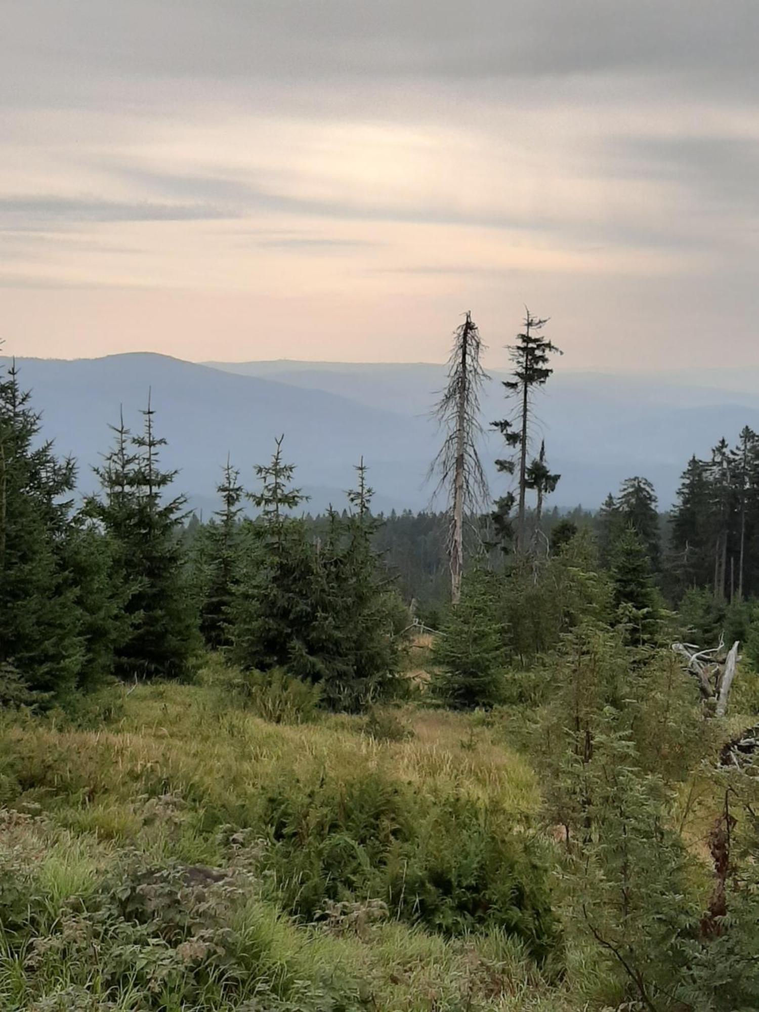 Fewo Fink Regen Buitenkant foto